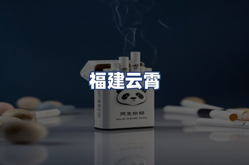 福建云霄